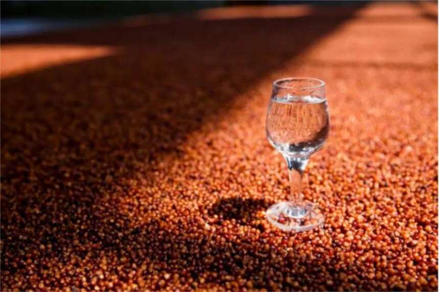 粮食短缺影响白酒产业发展？酒企积极捍卫原粮、保证产量与质量