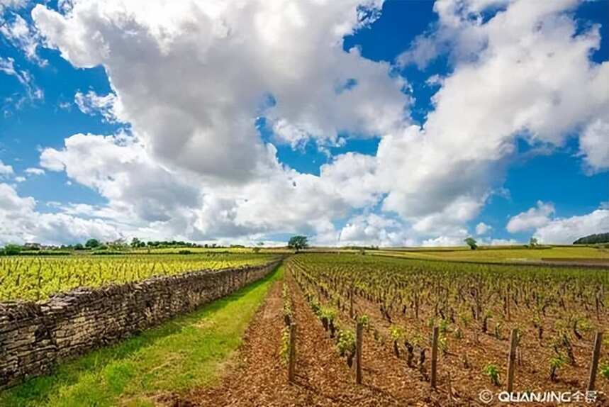 【法庄】勃艮第土壤—矿石系葡萄酒是怎样形成的！