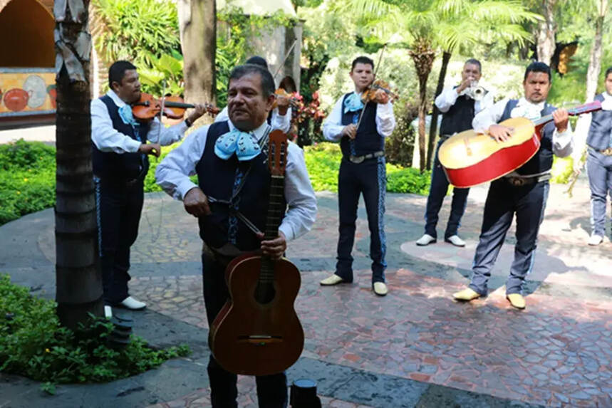 驭凡学堂 被誉为墨西哥的“灵魂”龙舌兰酒的跌宕历史