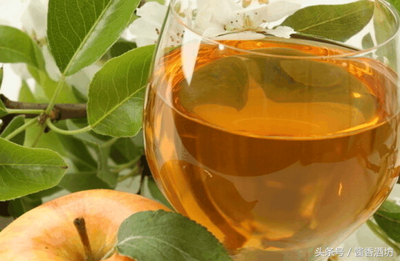 果酒技术：正确的果酒酿制方法与步骤，原来苹果就还能这样酿