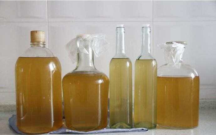 果酒技术：柑桔发酵酒的酿造方法，收藏有用哦