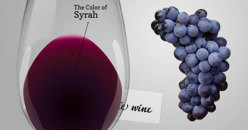 世界七大品种之西拉，入门红酒必尝的经典浓郁