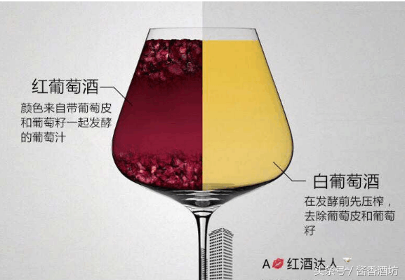 三张图带你看懂红葡萄酒与白葡萄酒的区别