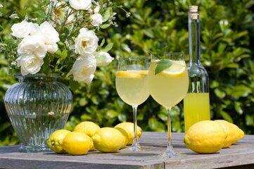水果酒：有多少人在家自制柠檬酒完全是因为它的功效