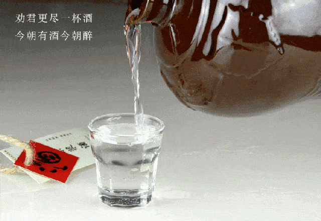 当外国人第一次喝中国白酒，赶脚已经达到了人生的巅峰