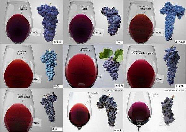葡萄酒的颜色就能说明很多问题，快拿家中的葡萄酒试试吧