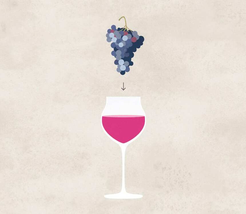 葡萄酒到底是什么？
