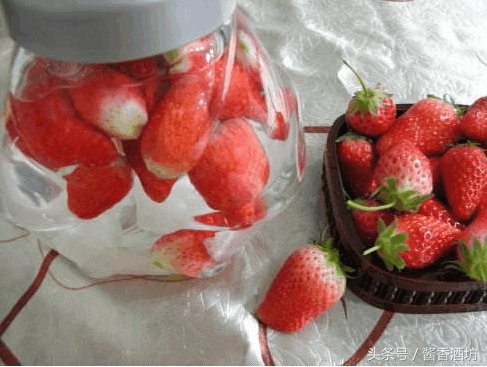 教你一步简单美味草莓酒的制作，在这个草莓季节最适合