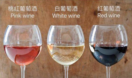 每天酒知识｜你真的懂葡萄酒吗？那干红、干白代表的是什么？雷司令、赤珠霞又是什么？