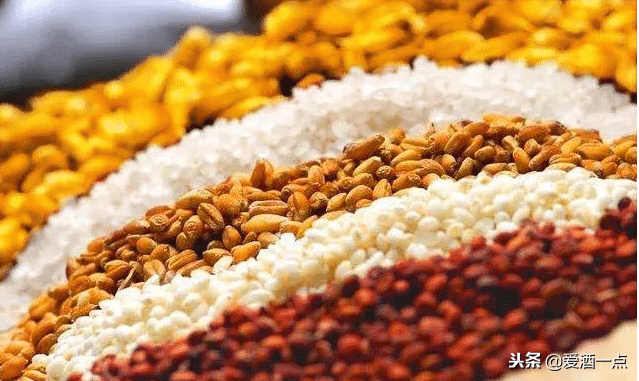 大米、玉米、高粱、小麦酿酒分别有什么特点？