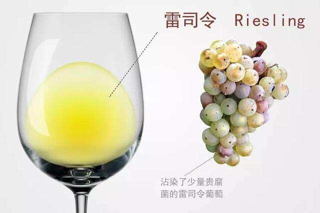 每天酒知识｜你真的懂葡萄酒吗？那干红、干白代表的是什么？雷司令、赤珠霞又是什么？