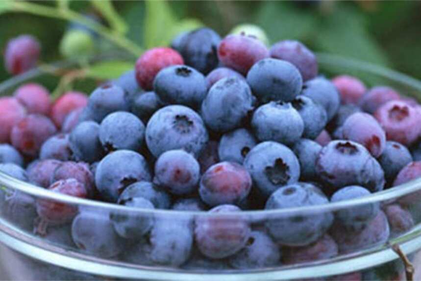 西餐厅用蓝莓做甜点，蓝莓能这么吃你知道吗？大家收藏做给孩子吃