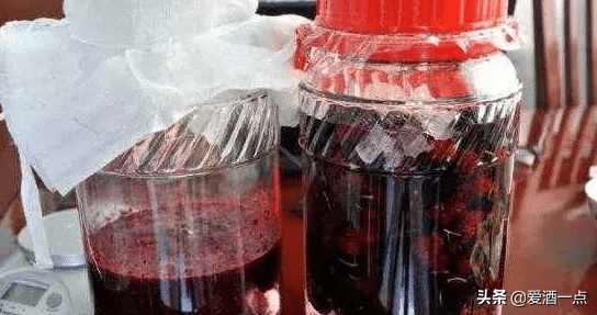 桑葚酒的酿酒工艺流程-水果酒设备