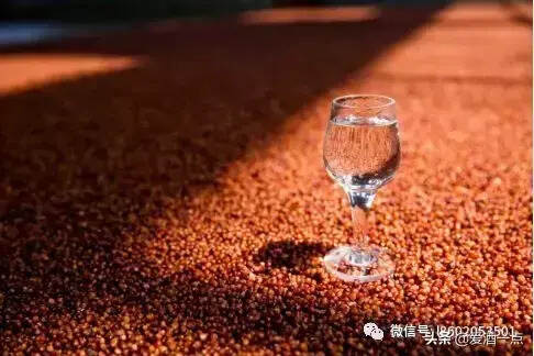 专业酿酒发酵技术篇——唐三镜酿酒设备