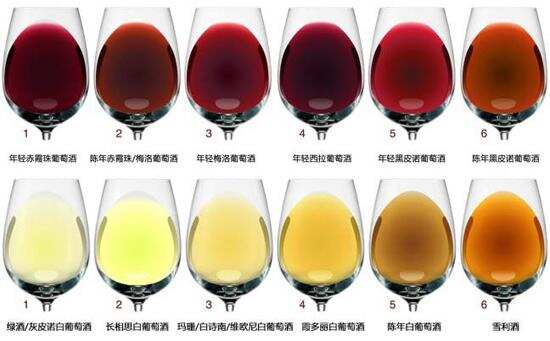 通过葡萄酒的颜色竟能看出这么多葡萄酒的秘密