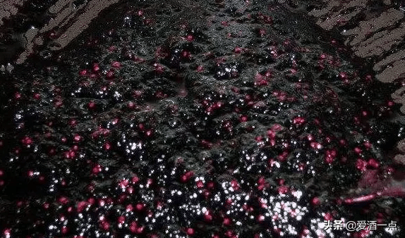 桑葚酒的酿酒工艺流程-水果酒设备