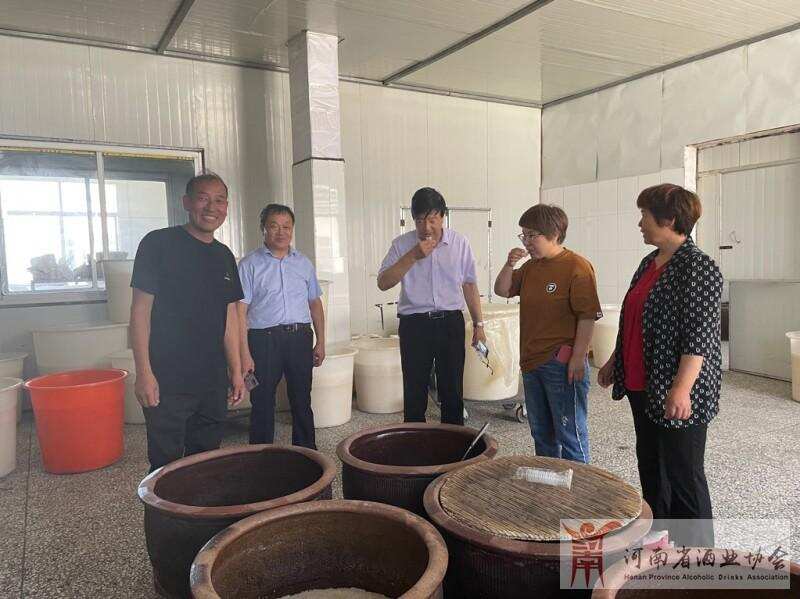 尹陶林副秘书长调研南阳黄酒产业高质量发展