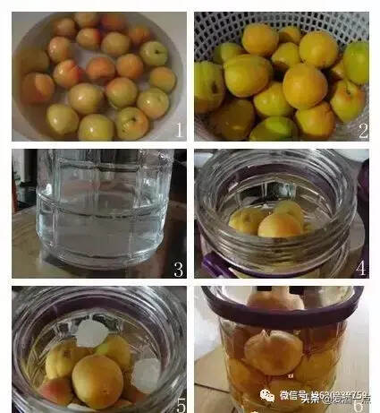 自制杏酒 杏酒的酿制方法