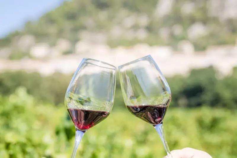 如何为你的罗讷河谷葡萄酒选择相称的酒杯