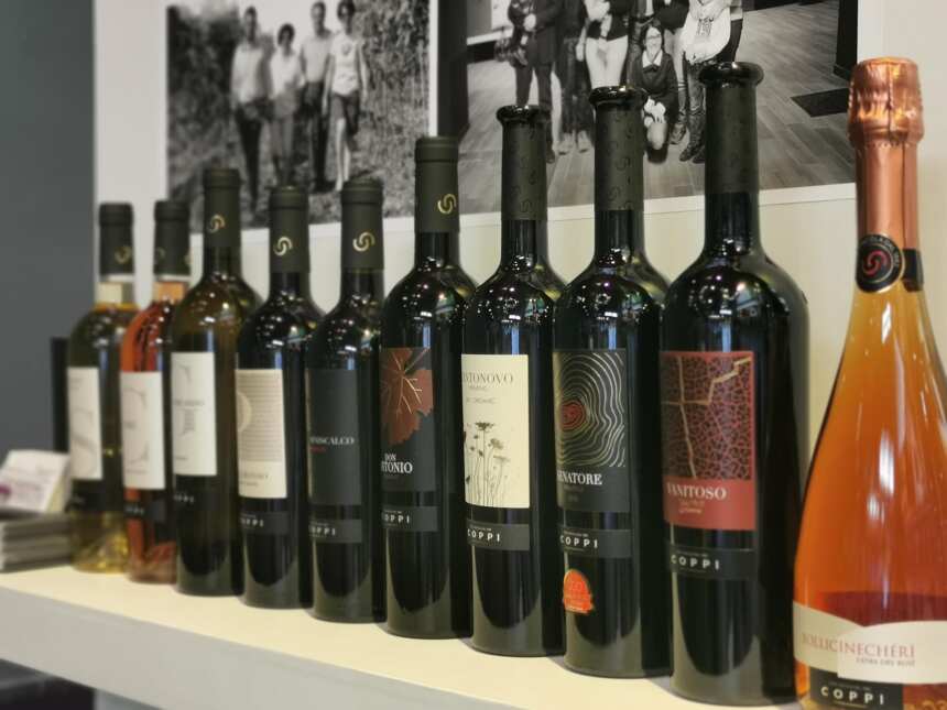 伊安·达加塔—意大利葡萄酒的“百科全书”