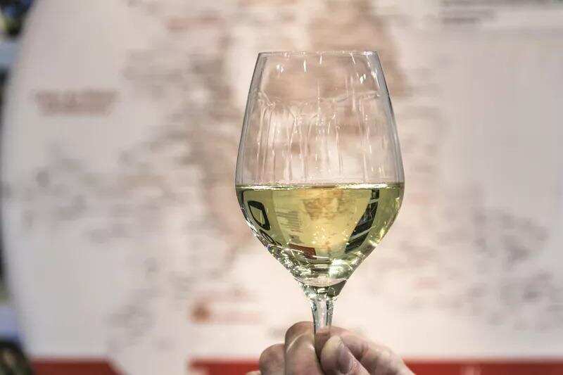 一篇文章带你了解罗纳河谷葡萄酒风格