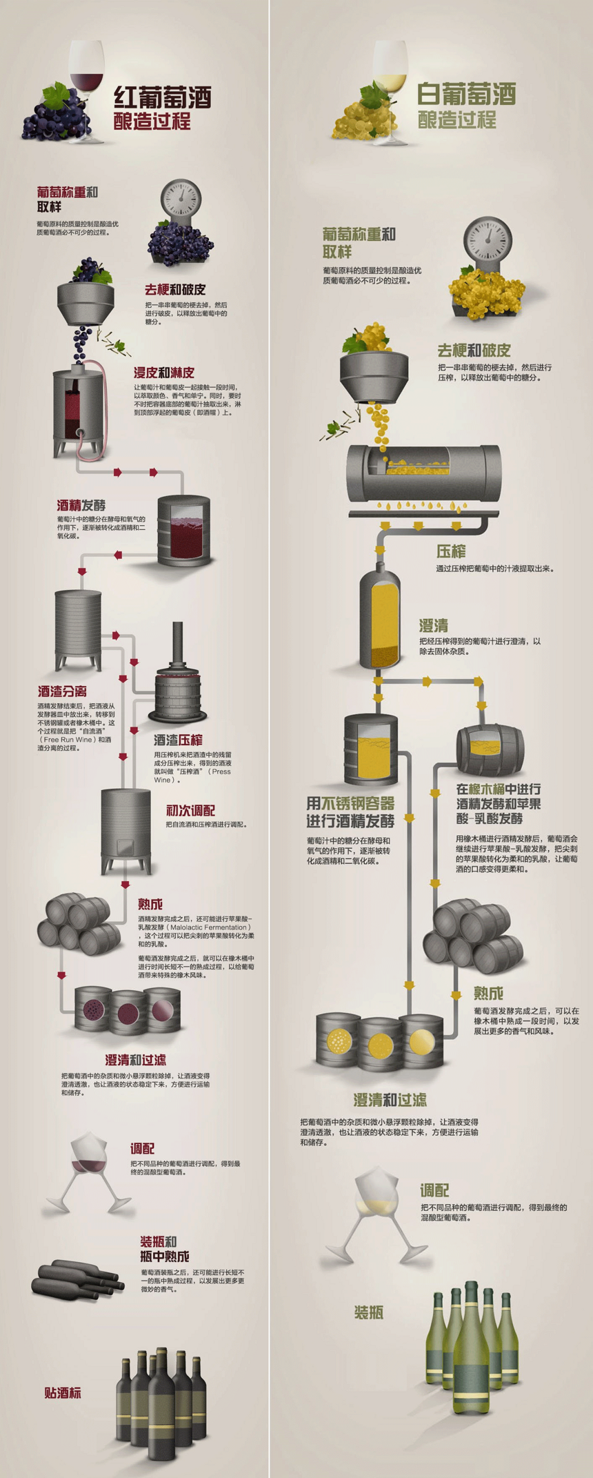 一张图了解葡萄酒酿制过程
