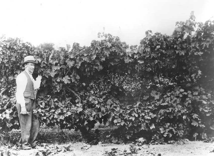 百年传承与纯粹匠心-澳洲酿酒大师杰夫·哈迪