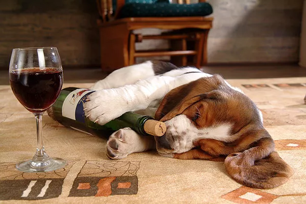 怎样喝葡萄酒才拥有婴儿般的睡眠？