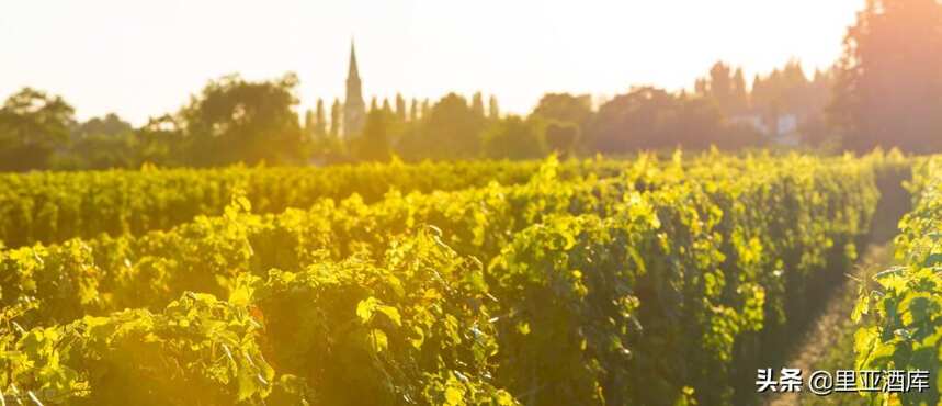 法国波尔多葡萄酒等级制度有多严格？（右岸和两海之间篇）