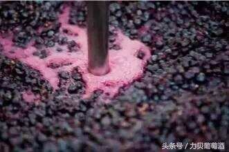 真正葡萄酒酿造过程你了解吗？