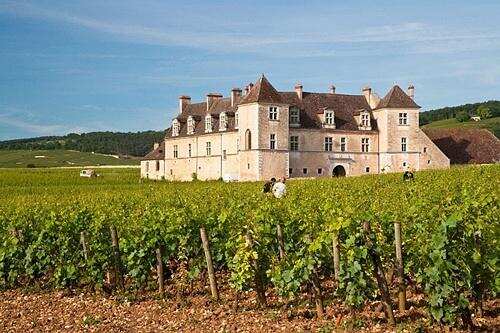 法国葡萄酒旅游5大热门目的地