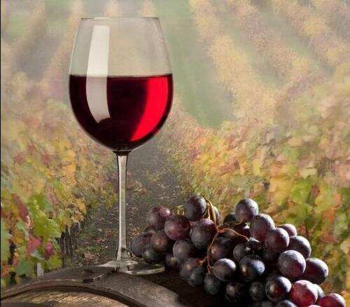 医学证实，葡萄酒与健康的秘密，这样喝才健康！