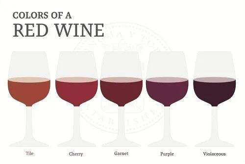 一看就懂 | 葡萄酒究竟有哪些品种？