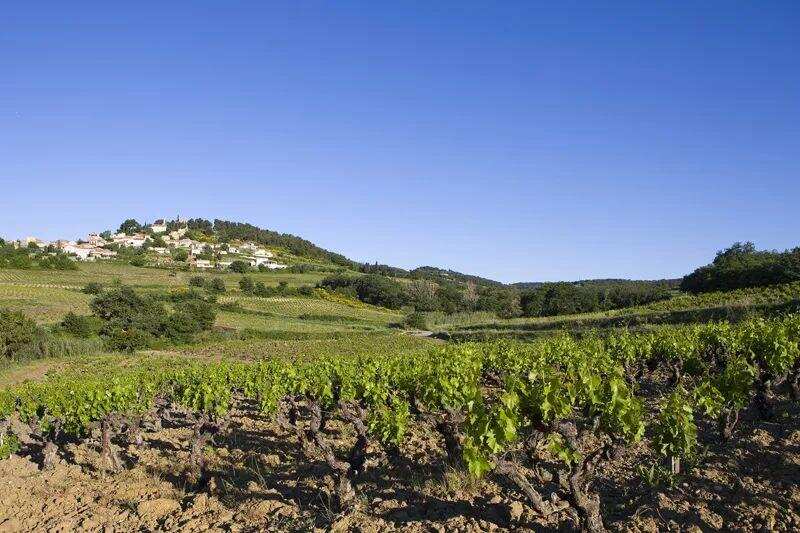 罗纳之旅｜拉斯多——隐匿在丘陵顶端的葡萄酒世界