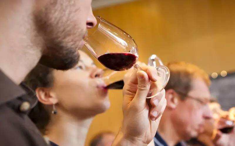 如何为你的罗讷河谷葡萄酒选择相称的酒杯