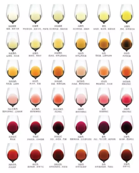 葡萄酒到底有多少种颜色？