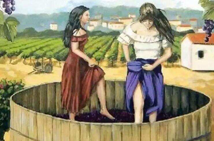 世界顶级的葡萄酒都是用少女的脚踩出来的？有钱都不一定能喝到
