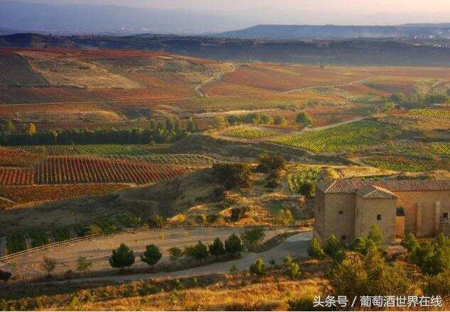 西班牙酿酒历史，3000年前一个不为人知的地方缔造了传奇