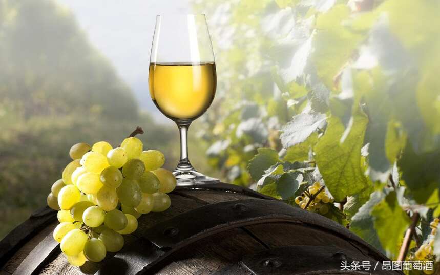 白葡萄酒分类指南 白葡萄酒有什么类型