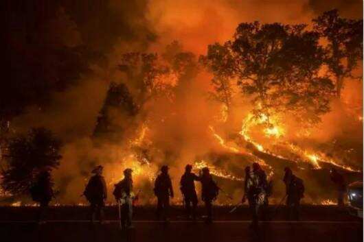 美国加州燃起史上最大规模山火 葡萄园影响几何？