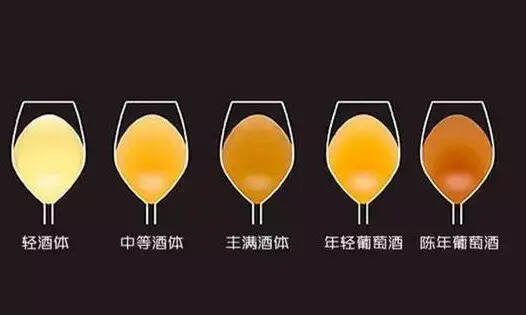 1杯酒能告诉你哪些信息？
