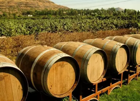 墨西哥葡萄酒人文历史 你了解多少？
