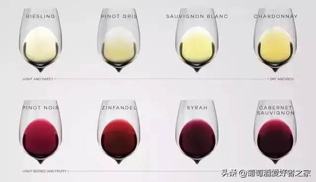 喝过这8个品种，才算入门葡萄酒世界