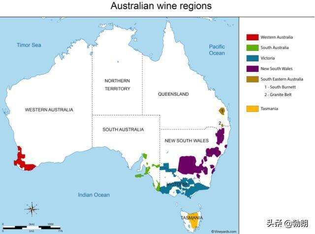 澳大利亚葡萄酒，只认识奔富，岂不是有点孤陋寡闻？