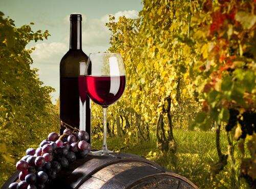 葡萄酒出口紧追法国 澳洲有望成中国首供