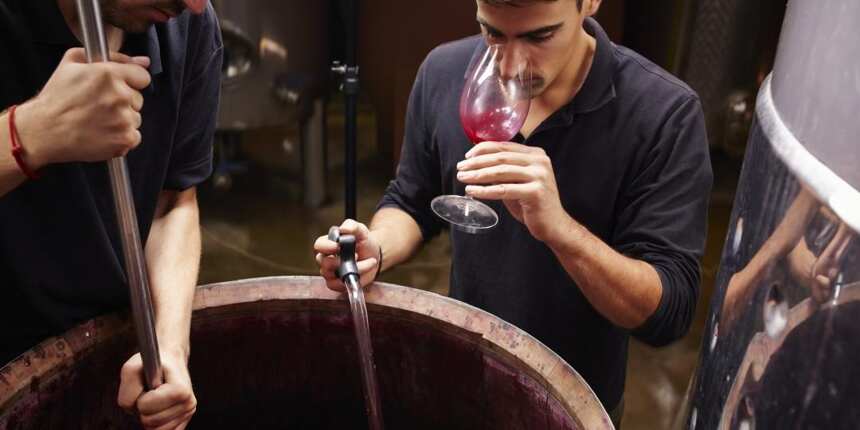 起泡葡萄酒（香槟）是如何酿造的？工艺不简单，看完更会选酒了