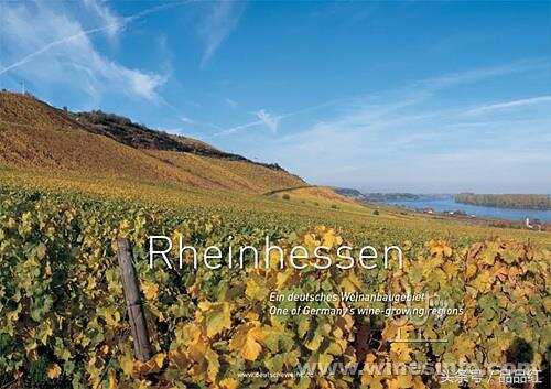 2017年德国13大葡萄酒产区采收报告