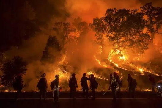 美国加州再度爆发森林大火，或会影响当地葡萄酒庄