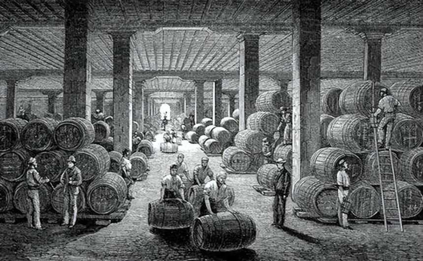 揭秘：为什么橡木桶陈酿的葡萄酒能成为精品，原因在这里