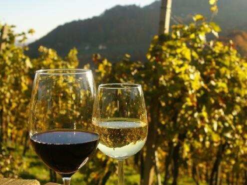 国内葡萄种植技术上升，沙漠里也能种出好葡萄，产好酒